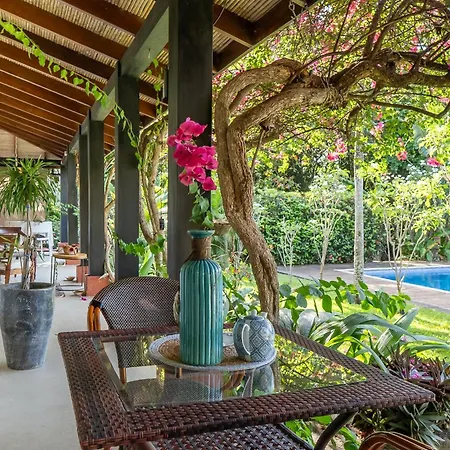 Casa Mapache Pool And Breakfast Available Near Tamarindo Beach