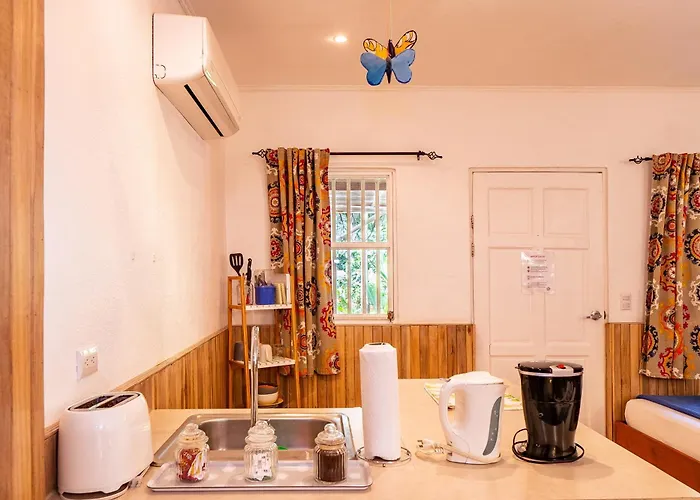 Casa Mapache Pool And Breakfast Available Near Tamarindo