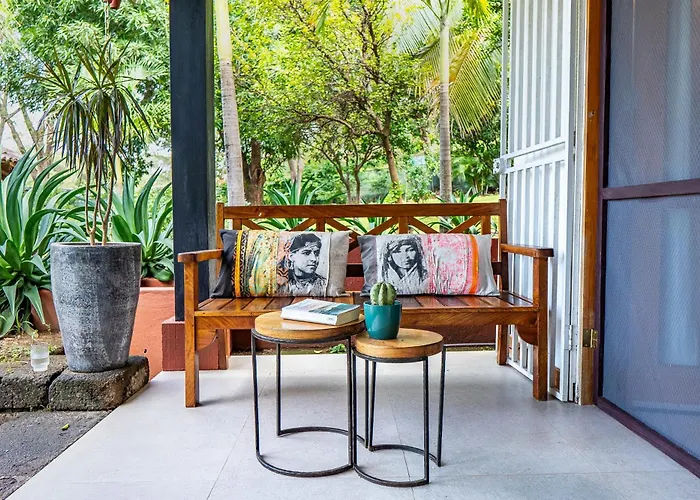 Casa Mapache Pool And Breakfast Available Near Guest house