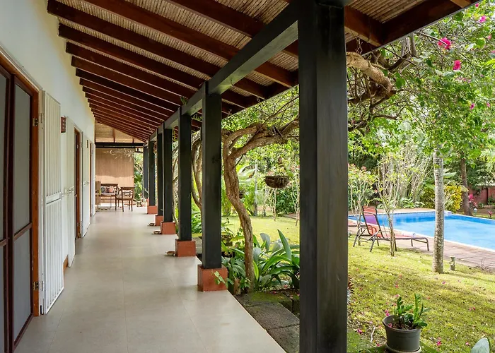 Casa Mapache Pool And Breakfast Available Near