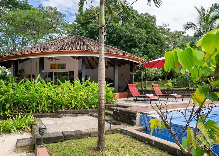 Casa Mapache Pool And Breakfast Available Near Guest house
