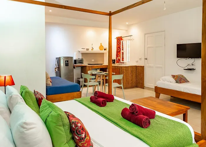 Casa Mapache Pool And Breakfast Available Near