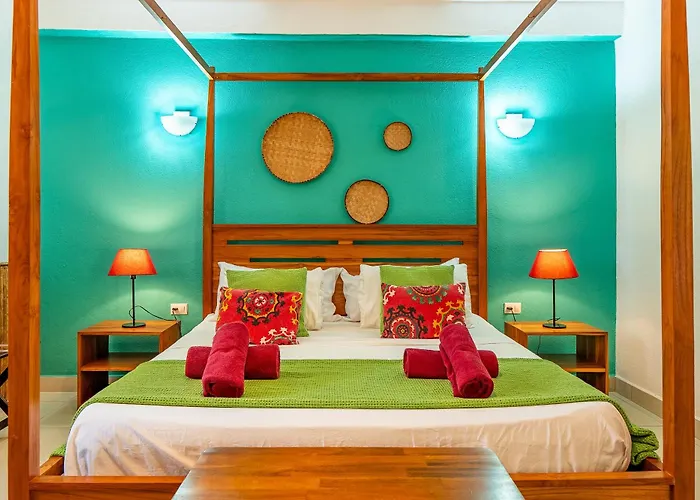 Casa Mapache Pool And Breakfast Available Near Guest house