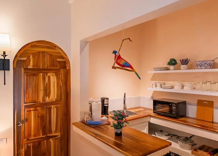 Guest house Casa Mapache Pool And Breakfast Available Near Tamarindo