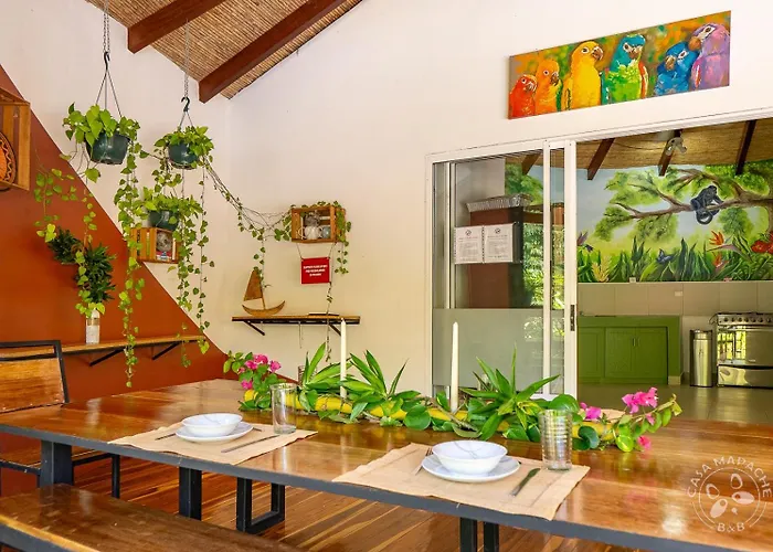 Casa Mapache Pool And Breakfast Available Near Tamarindo
