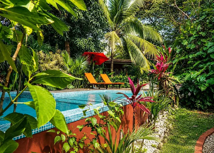 Casa Mapache Pool And Breakfast Available Near Tamarindo