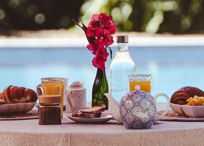 Casa Mapache Pool And Breakfast Available Near Tamarindo