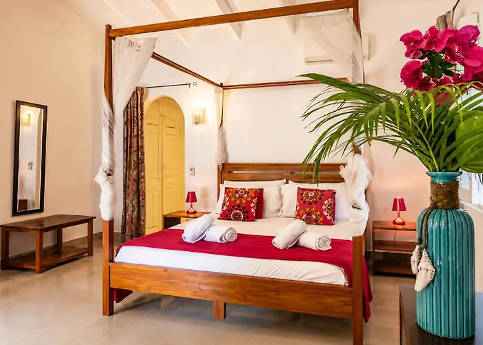 Guest house Casa Mapache Pool And Breakfast Available Near