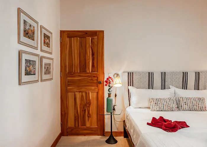 Casa Mapache Pool And Breakfast Available Near 3*