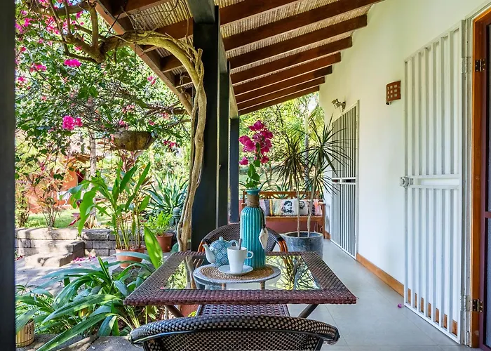 Casa Mapache Pool And Breakfast Available Near 3*